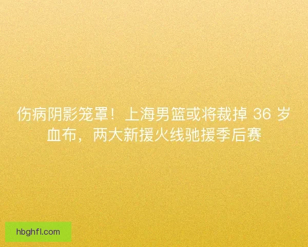 伤病阴影笼罩！上海男篮或将裁掉 36 岁血布，两大新援火线驰援季后赛